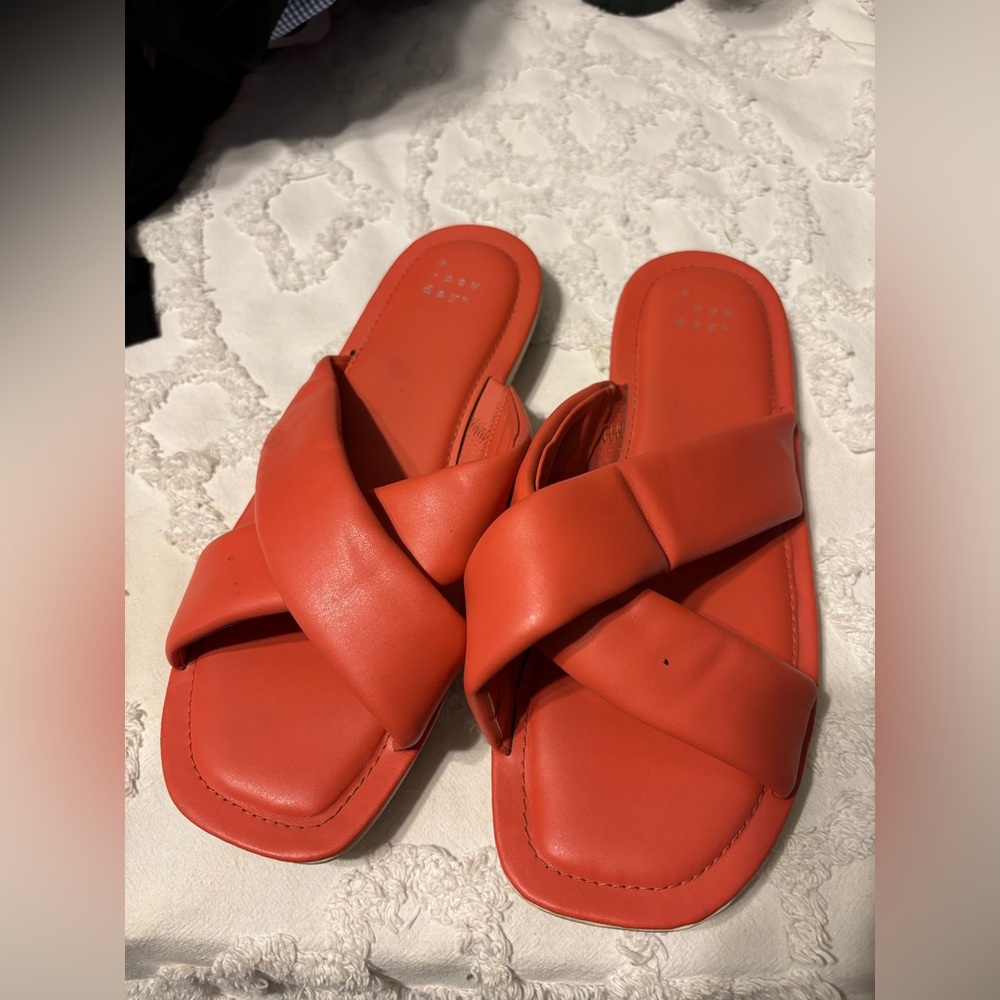 A new day coral slides